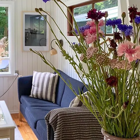 Pet Friendly In Frederiksværk